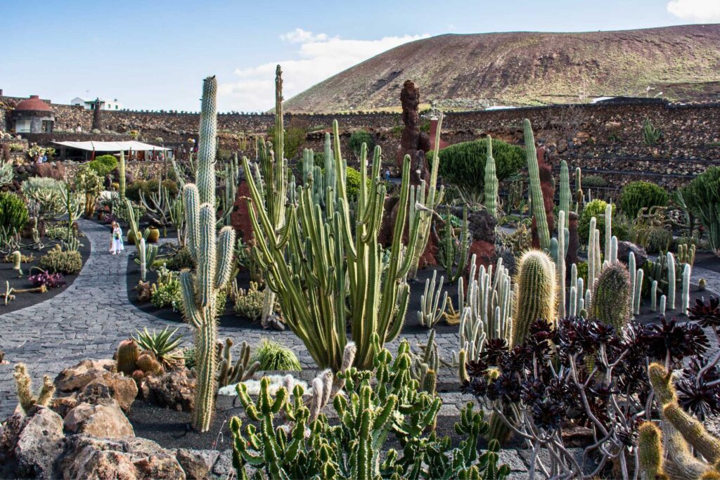 Najciekawsze atrakcje na Lanzarote — Ogród Kaktusów