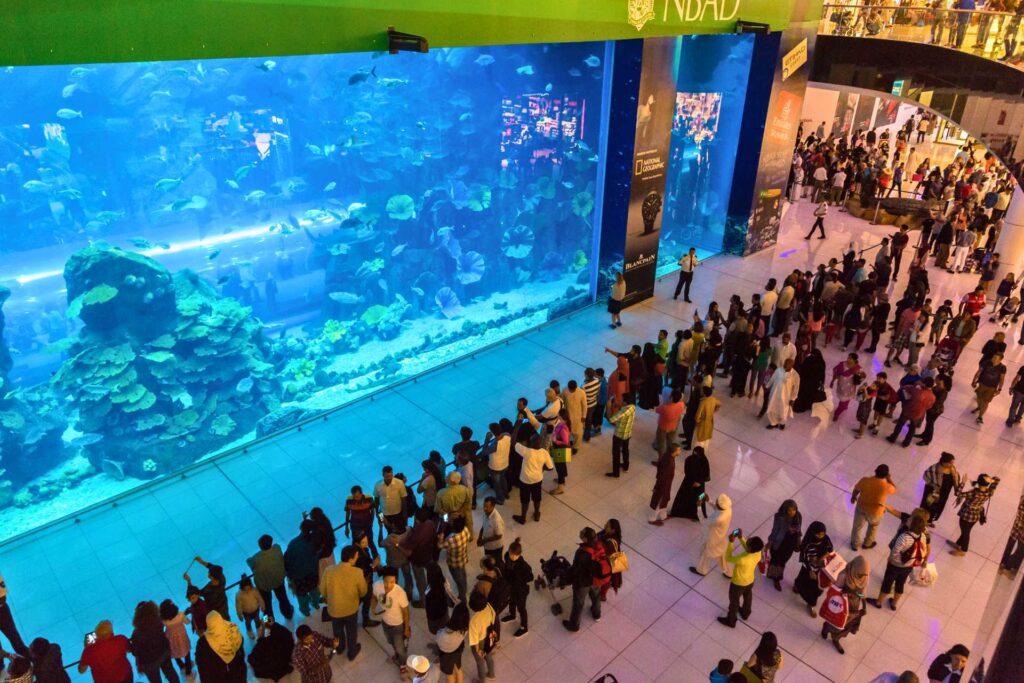 Najciekawsze atrakcje w Dubaju — Dubai Aquarium & Underwater ZOO (© Sergii Figurnyi / Depositphotos.com)