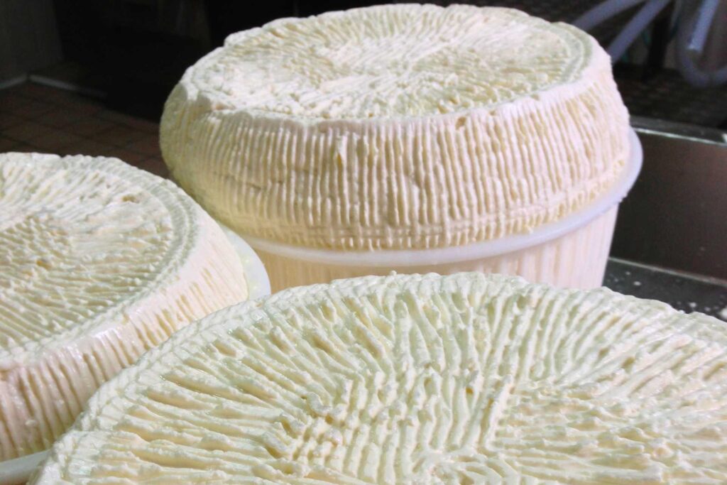 Co zjeść na Sycylii — Ser pecorino siciliano