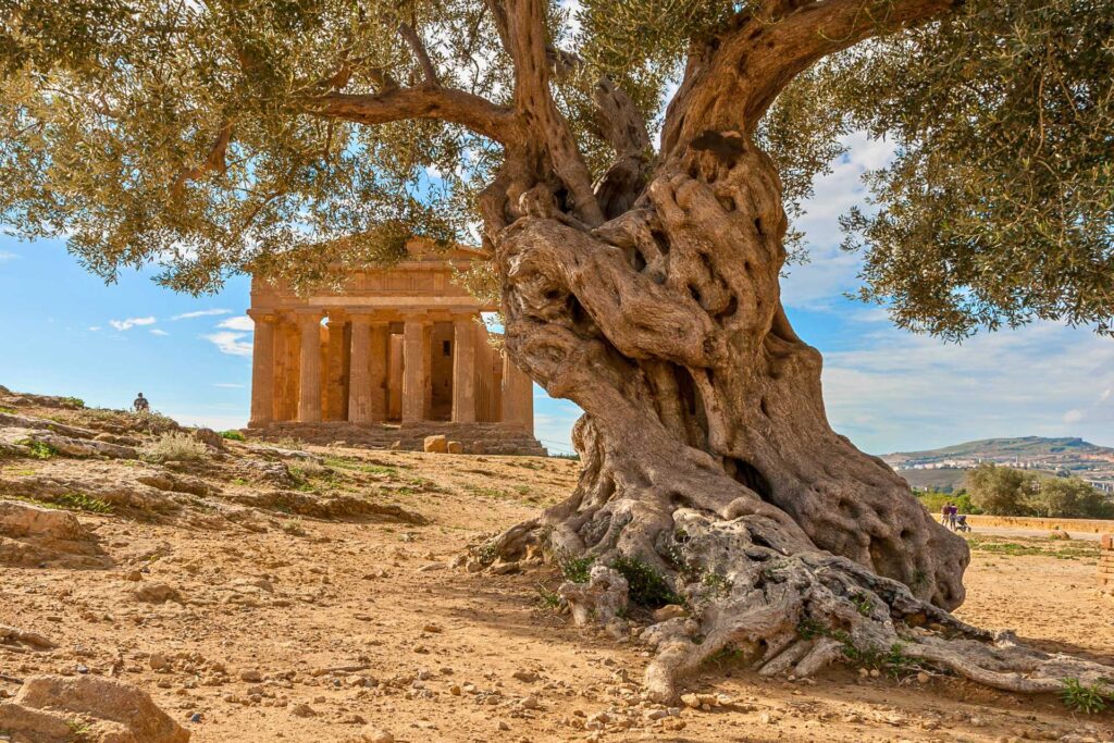 Co zobaczyć w Agrigento — Dolina Świątyń