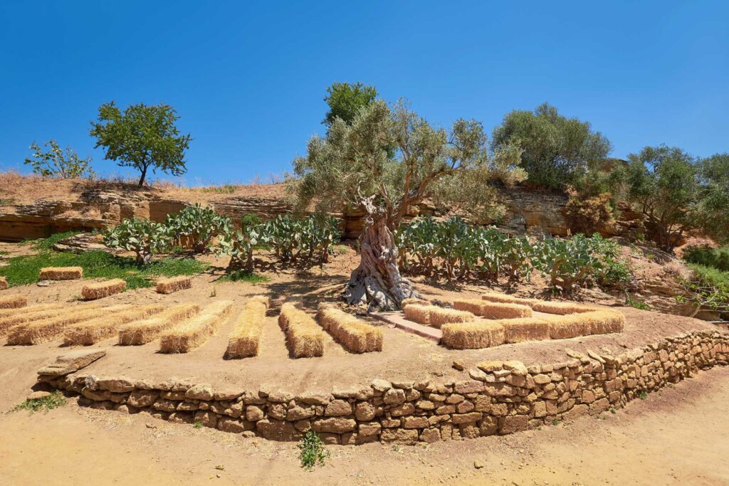Co zobaczyć w Agrigento — Ogród Kolymbethra (© Anna Ivanova / Depositphotos.com)