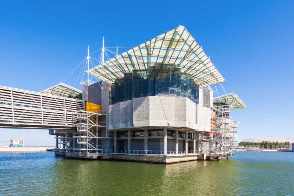 Najciekawsze atrakcje w Lizbonie – Oceanarium