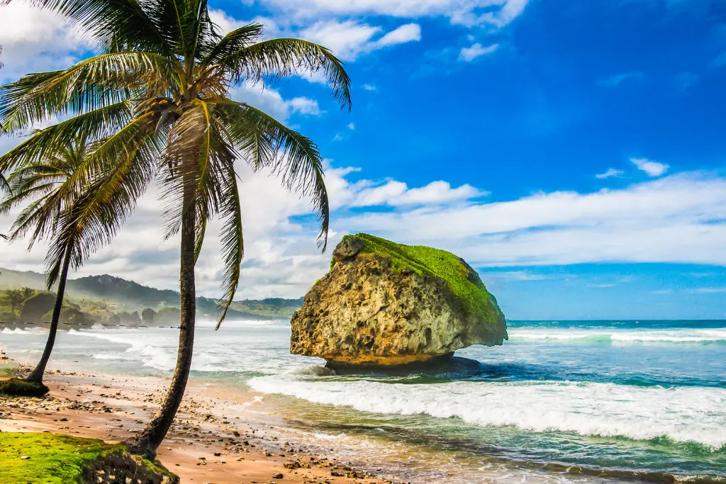 wakacje w barbadosie