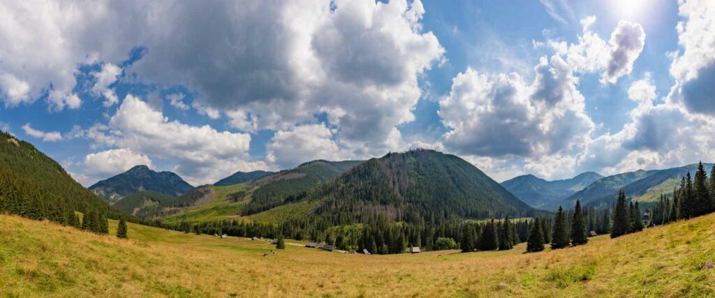 panorama tatr dolina chochołowska