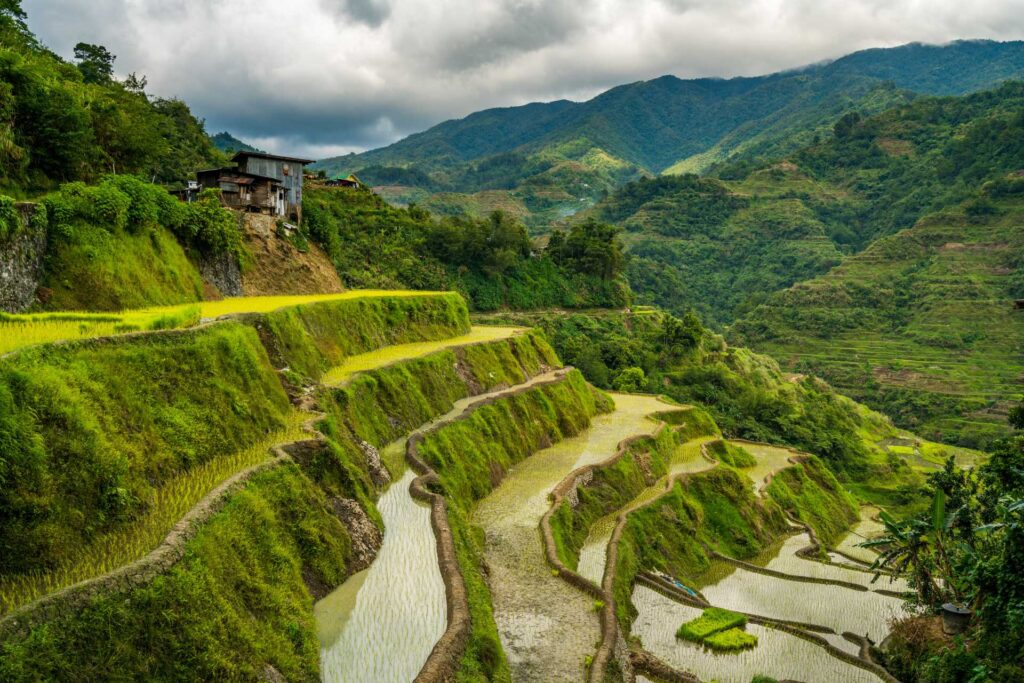 Wakacje w grudniu 2023 roku na Filipinach — Tarasy ryżowe Banaue