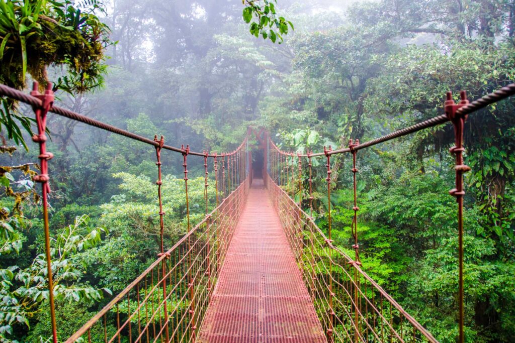 Kostaryka na wakacje w listopadzie 2023 — Park Narodowy Monteverde