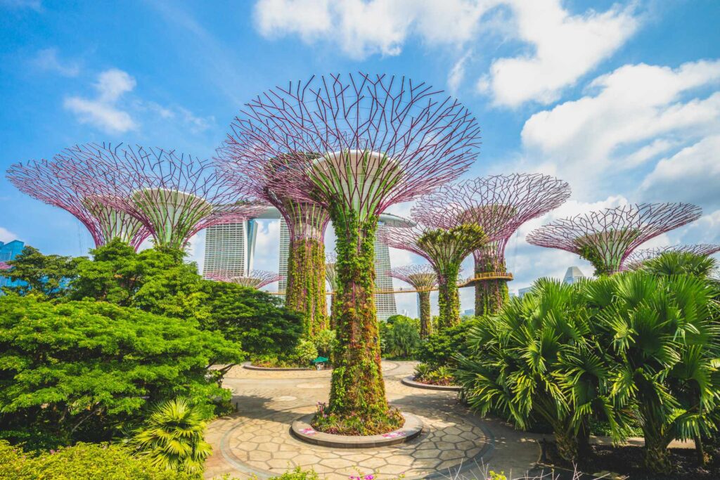 Wakacje w październiku w Singapurze — Supertree Grove w Gardens by the Bay